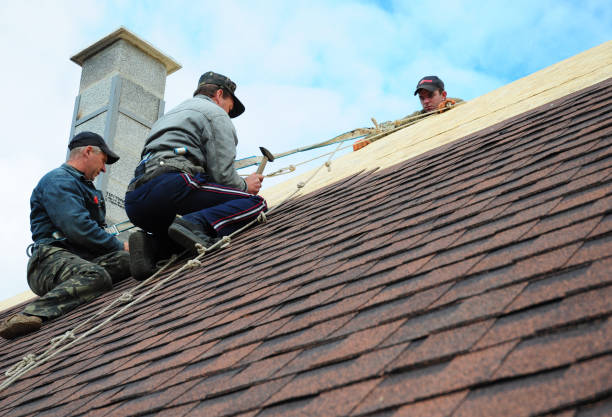 Best Roof Leak Repair  in Greybull, WY